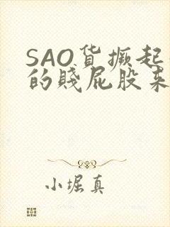 SAO货撅起你的贱屁股来