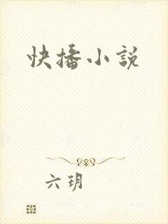 快播小说