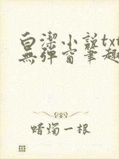 白洁小说txt无弹窗笔趣阁