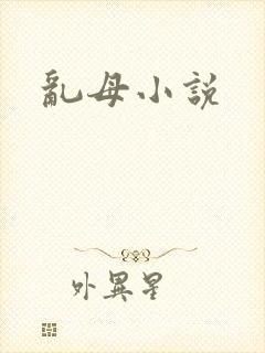 《乱母小说》小说封面