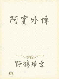 阿宾外传