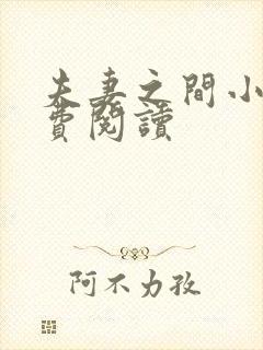 夫妻之间小说免费阅读