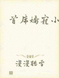 首席娇宠小情人