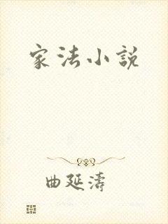 家法小说