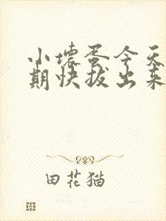 小坏蛋今天危险期快拔出来