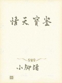 情天宝鉴