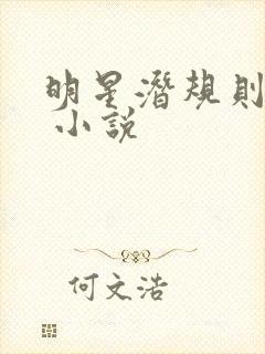 明星潜规则之皇 小说