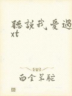 听说我爱过你txt