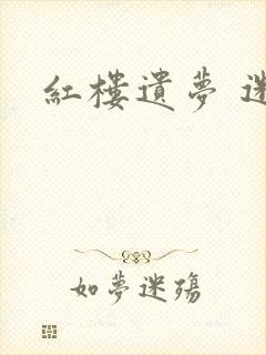 红楼遗梦 迷男