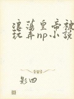 浪荡皇帝被多人玩弄np小说