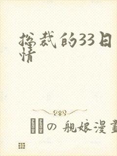 总裁的33日索情