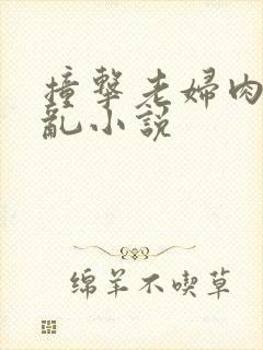 撞击老妇肉体之乱小说