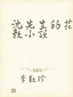 沈先生的花式管教小说