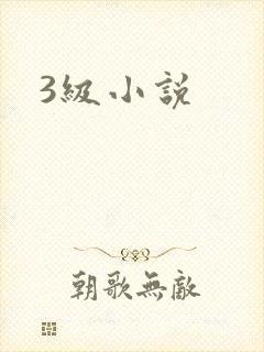 3级小说