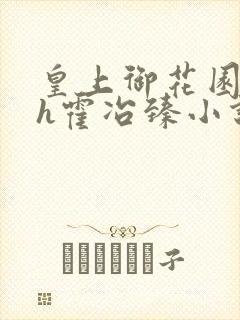 皇上御花园hlh霍冶臻小说