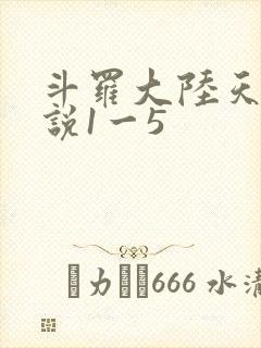 斗罗大陆天狂传说1一5