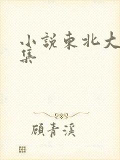 小说东北大炕全集