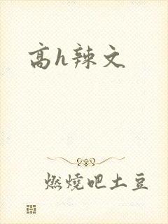 高h辣文