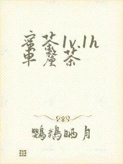 蜜茶1v.1h车厘茶