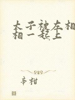 太子被左相和右相一起上