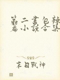 第二书包辣网短篇小说合集封面