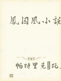 凤囚凰小说封面