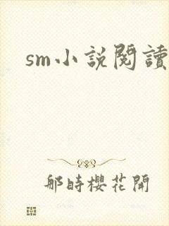 sm小说阅读