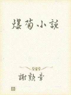 爆菊小说