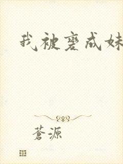 我被变成妹了封面