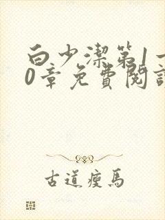 白少洁第1一40章免费阅读封面