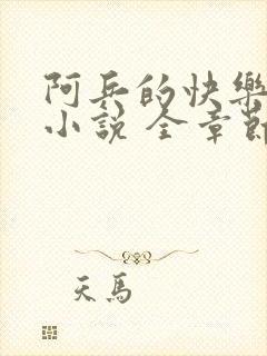 阿兵的快乐生活小说 全章节阅读免费