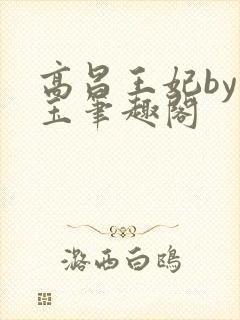 高昌王妃by黛玉笔趣阁