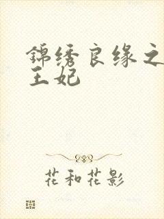 锦绣良缘之北地王妃封面