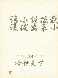 污小说总裁整夜没拔出来小说在线阅读