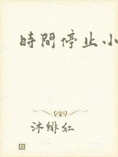 时间停止小说