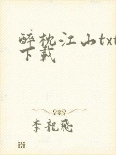 醉枕江山txt下载