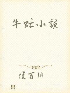 牛虻小说