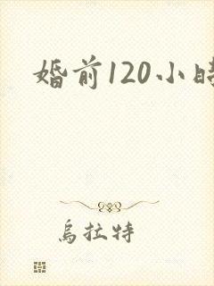 婚前120小时封面