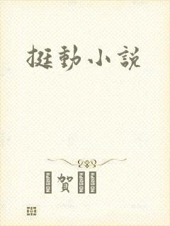 挺动小说封面
