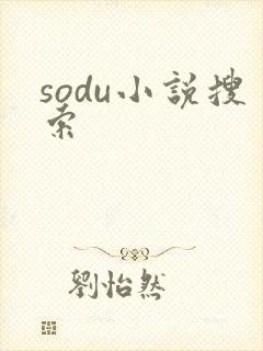 sodu小说搜索