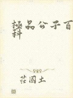 极品公子百度百科