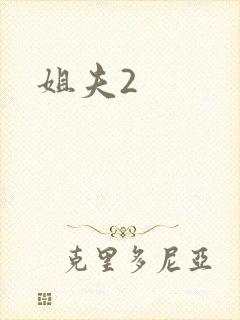 姐夫2