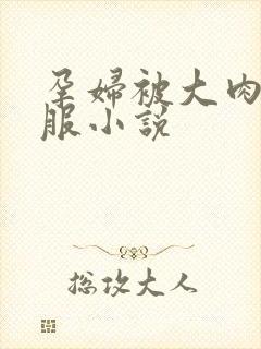 孕妇被大肉楱征服小说封面