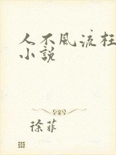人不风流枉少年小说