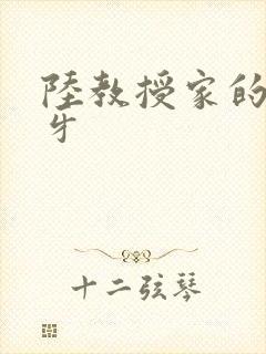 陆教授家的小月牙