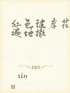 红色彼岸花花瓣遍地撒