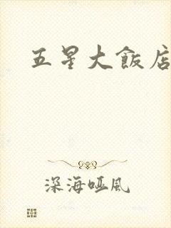 五星大饭店小说
