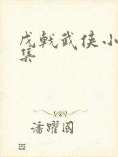 戊戟武侠小说全集