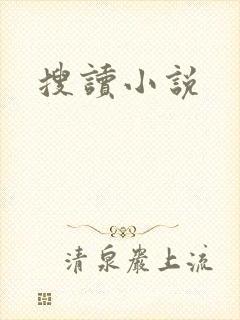 搜读小说