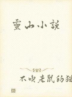 灵山小说